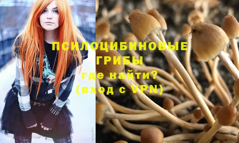 Галлюциногенные грибы Magic Shrooms  Дальнегорск 